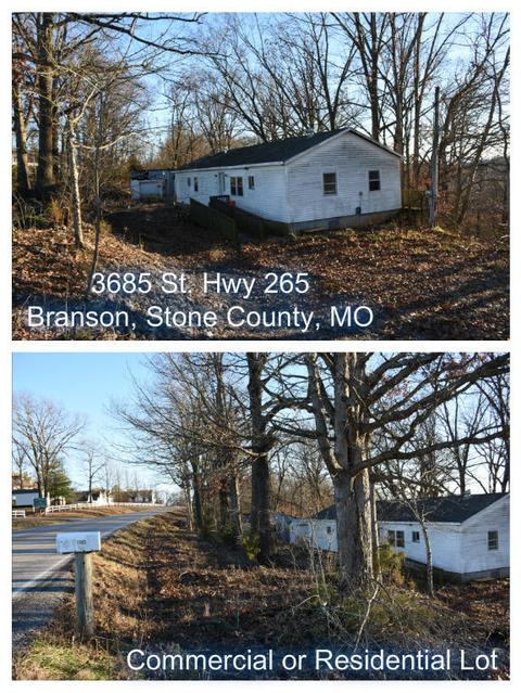 3685 St Hwy 265, Branson, MO 65616 photo 1