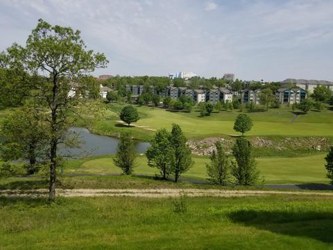 120 Spring Creek Ct #23, Branson, MO 65616 photo 1