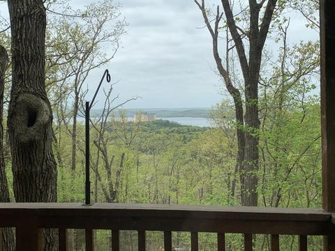232 Lone Pine Rd, Branson, MO 65616 photo 1