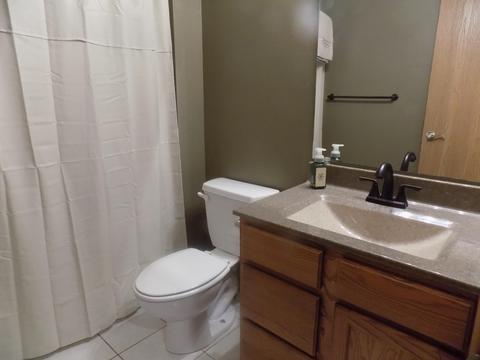 711 Lexington Cir, Clever, MO 65631 photo 23