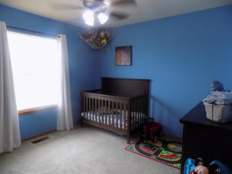 711 Lexington Cir, Clever, MO 65631 photo 24