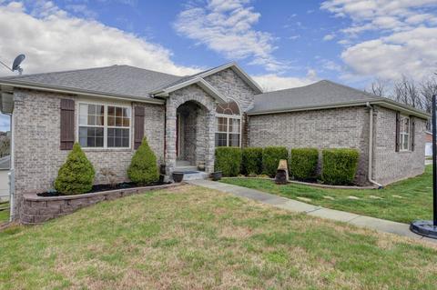 311 Round Hill Rd, Branson, MO 65616 photo 1