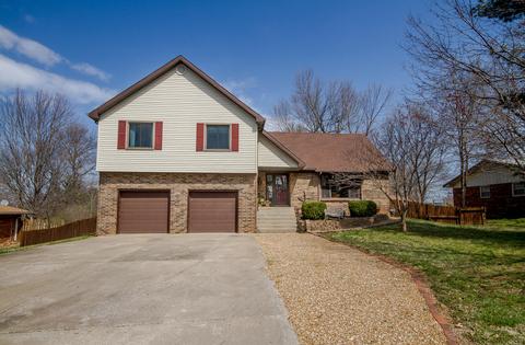 113 Ridgeview Dr, Willard, MO 65781 photo 1