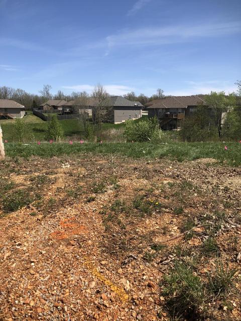 1222 N 10th Ave, Ozark, MO 65721 photo 1