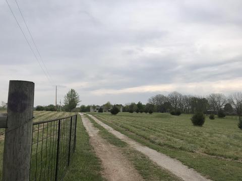 7064 N Farm Rd 155, Springfield, MO 65803 photo 1