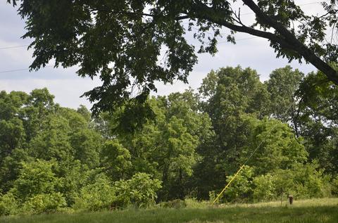 6180 State Hwy W, Ozark, MO 65721 photo 28