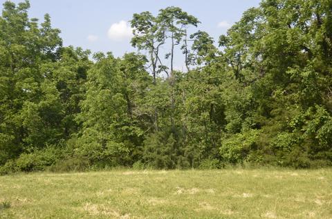 6180 State Hwy W, Ozark, MO 65721 photo 26