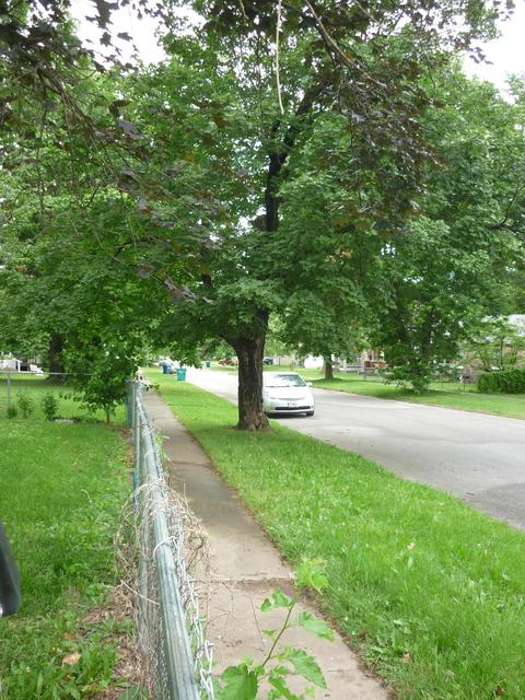 1302 W Florida St, Springfield, MO 65803 photo 66