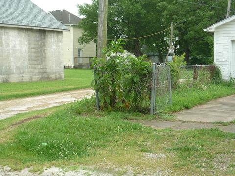 1302 W Florida St, Springfield, MO 65803 photo 64