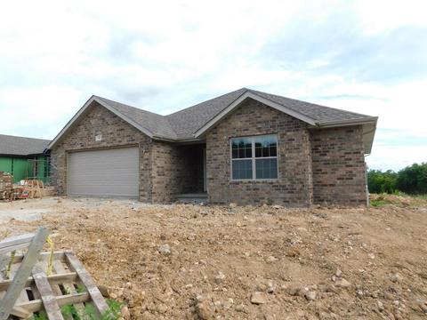247 Redwine Cir, Branson, MO 65616 photo 1
