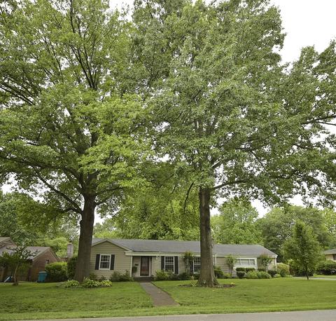 2519 S Wallis Smith Blvd, Springfield, MO 65804 photo 1