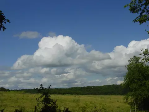2027 Lee Ridge Rd, Crane, MO 65633 photo 1