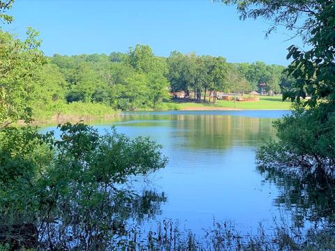 297 Trellis Dr, Lampe, MO 65681 photo 1