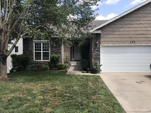 423 Cozy Lane Ln, Branson, MO 65616 photo 1