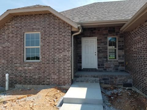 4652 Palma Ct, Ozark, MO 65721 photo 1