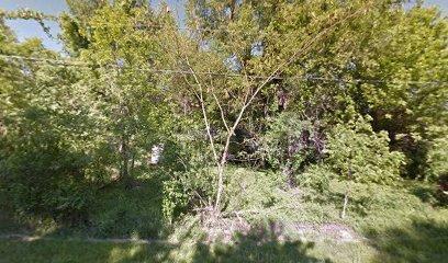 1009 S Waco Ave, Springfield, MO 65802 photo 1