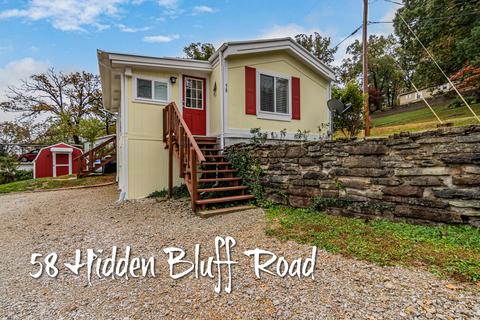58 Hidden Bluff Rd, Blue Eye, MO 65611 photo 1