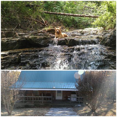 29584 Highway 160, Tecumseh, MO 65760 photo 1