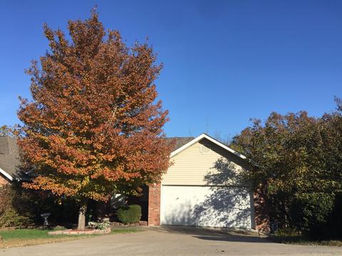 255 Tyler St, Branson, MO 65616 photo 1
