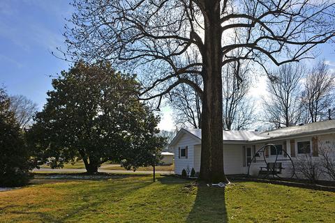 441 S Monte Vista Ave, Springfield, MO 65802 photo 5