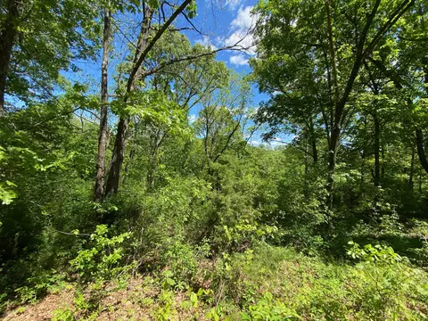0 Mule Barn Dr, Cape Fair, MO 65624 photo 3