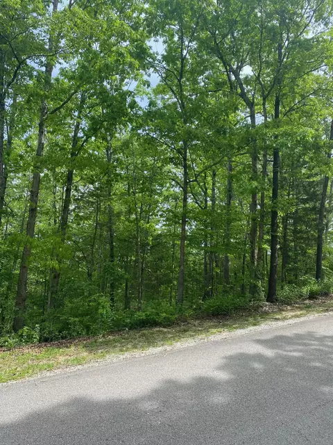 0 Silver Cliff Way, Branson West, MO 65737 photo 2