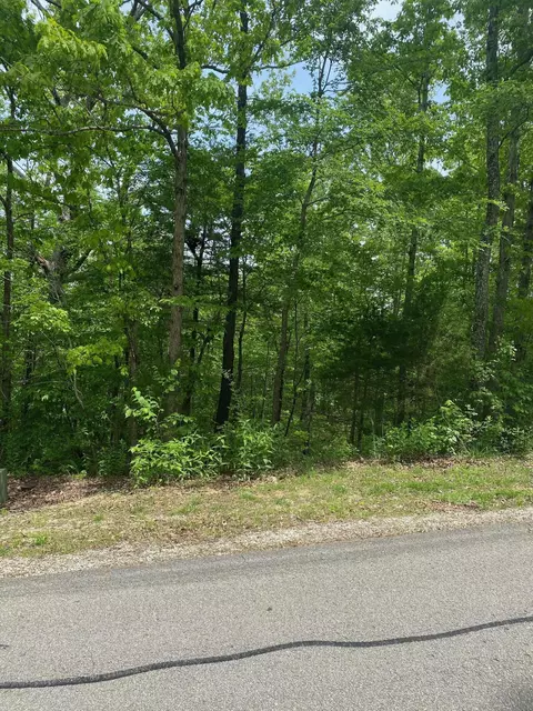 0 Silver Cliff Way, Branson West, MO 65737 photo 3
