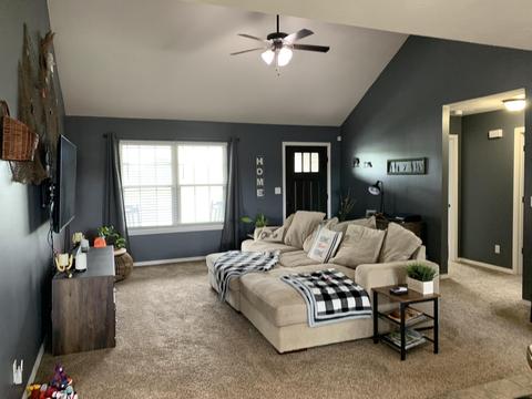 204 E Riverdown St, Clever, MO 65631 photo 4