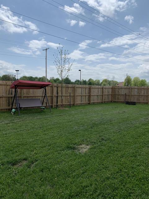 204 E Riverdown St, Clever, MO 65631 photo 37