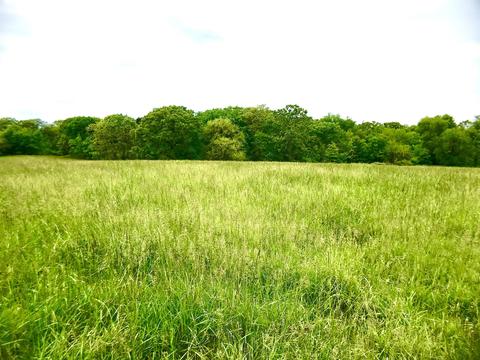 25463 E Younger Rd, Sheldon, MO 64784 photo 1