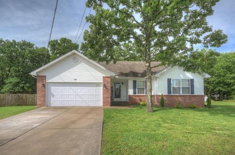 114 Randolph Dr, Carl Junction, MO 64834 photo 1