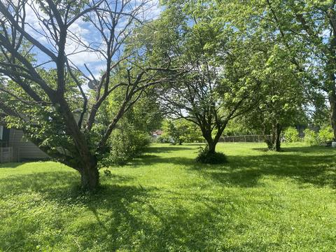 1508 E Livingston St, Springfield, MO 65802 photo 3
