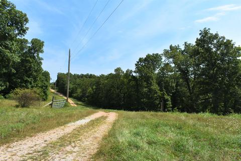 495 Fowler Rd, Protem, MO 65733 photo 27