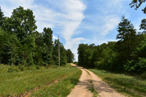 495 Fowler Rd, Protem, MO 65733 photo 3