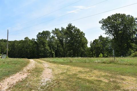 495 Fowler Rd, Protem, MO 65733 photo 22