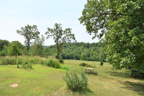 495 Fowler Rd, Protem, MO 65733 photo 29