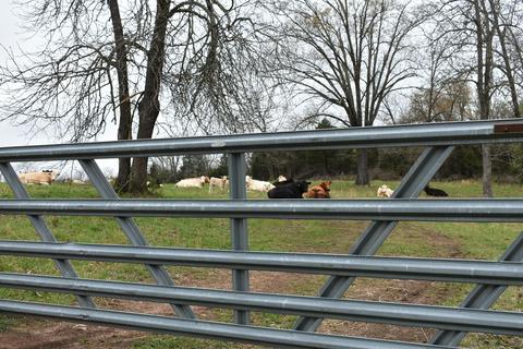 495 Fowler Rd, Protem, MO 65733 photo 31