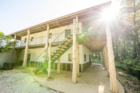 591 Frog Pond Rd, Seymour, MO 65746 photo 7