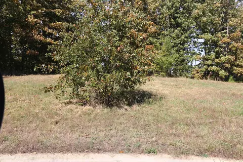 000 Wild Turkey #BLOCK 1  4, West Plains, MO 65775