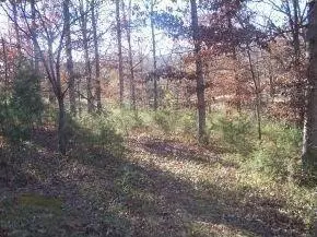 192 Lafayette Ln, Branson, MO 65616 photo 1