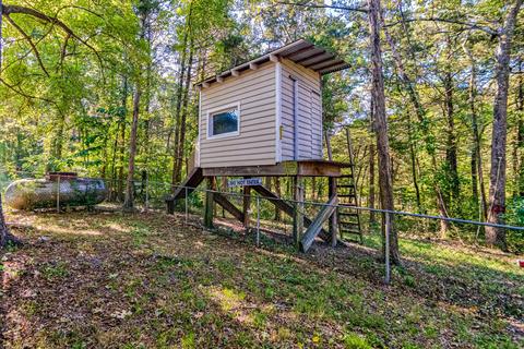 125 Timber Trl, Branson, MO 65616 photo 26