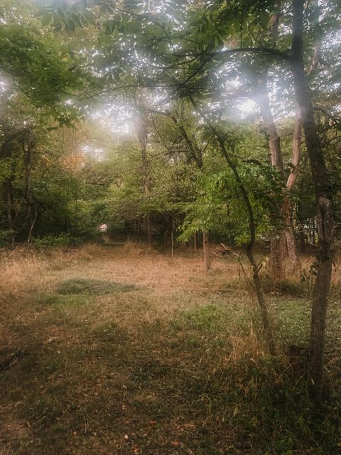 5685 County Loop 184, Joplin, MO 64801 photo 8