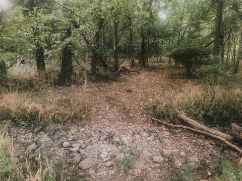 5685 County Loop 184, Joplin, MO 64801 photo 6