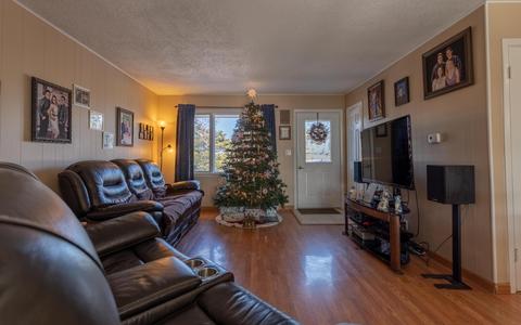 1010 Chippewa Ave, Branson, MO 65616 photo 6