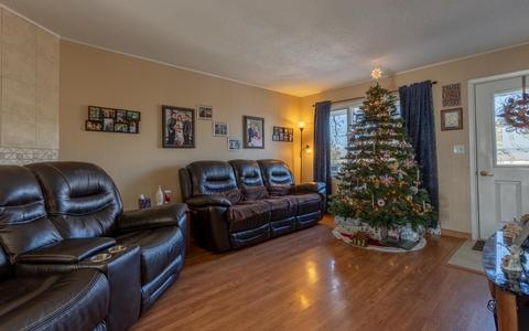 1010 Chippewa Ave, Branson, MO 65616 photo 5