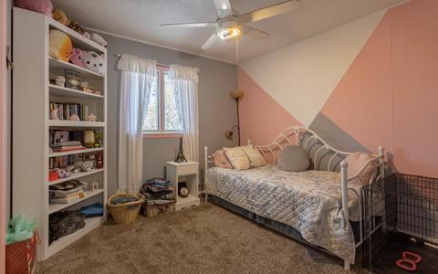 1010 Chippewa Ave, Branson, MO 65616 photo 20