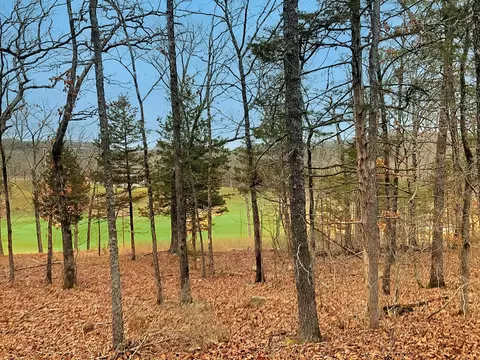 Lot 7 Olympic Drive, Branson, MO 65616 photo 6