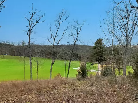 Lot 7 Olympic Drive, Branson, MO 65616 photo 8