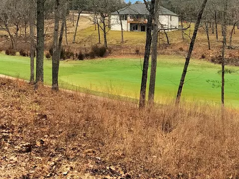 Lot 7 Olympic Drive, Branson, MO 65616 photo 4