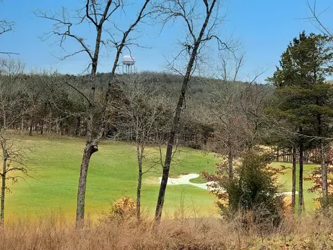 Lot 7 Olympic Drive, Branson, MO 65616 photo 5